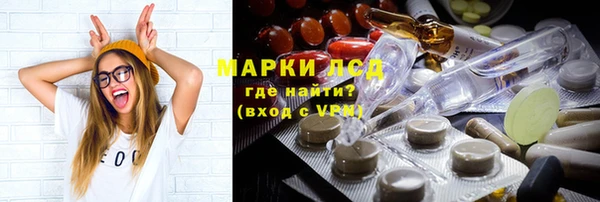 apvp Алзамай