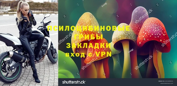 apvp Алзамай
