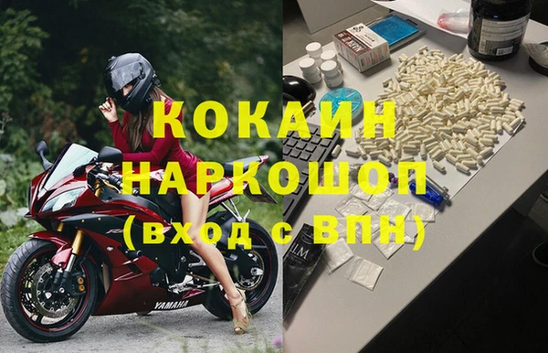 apvp Алзамай