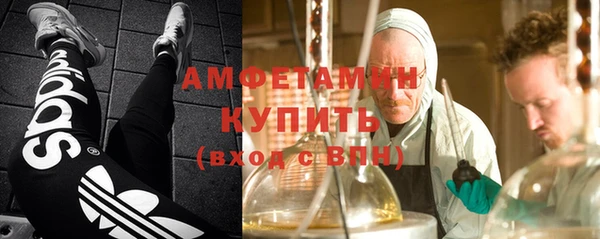 apvp Алзамай