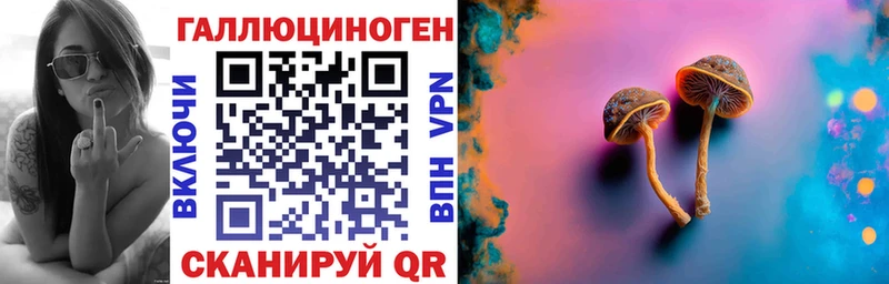 дарнет шоп  Кореновск  OMG ссылки  Псилоцибиновые грибы GOLDEN TEACHER 